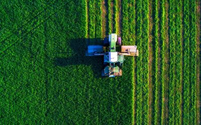 Manutenção de espaços verdes no Verão